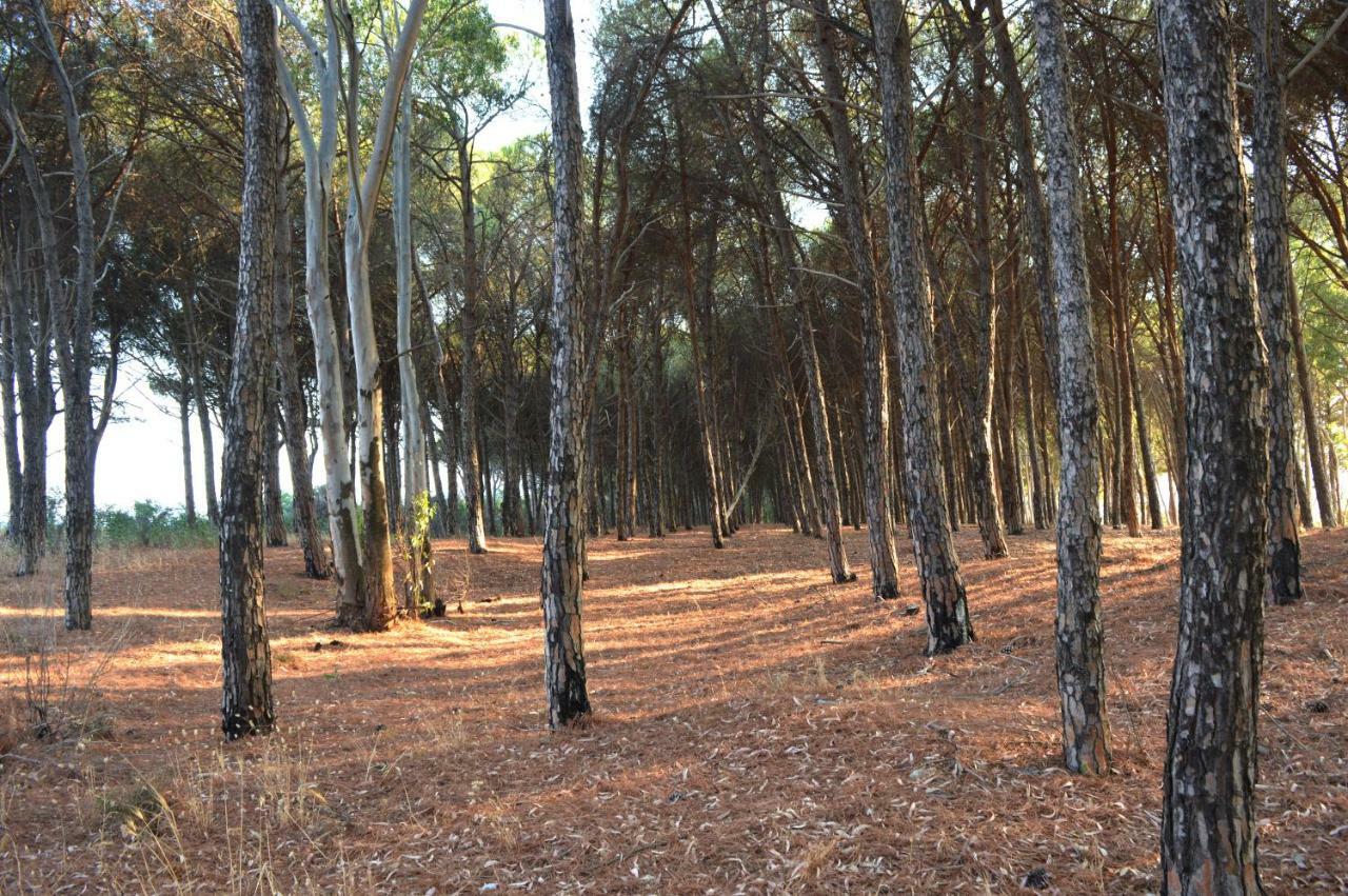 Апартаменти Oasi Del Governatore Сквіллаче Екстер'єр фото